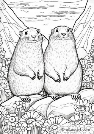 Pagina da colorare di marmotte