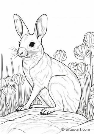 Jerboas Coloring Page