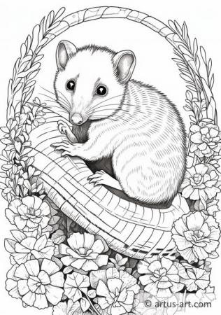 Pagina da colorare di opossum