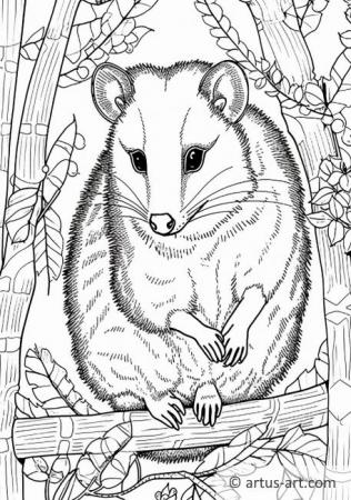 Opossum Farvelægningssider