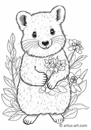 Quokka Coloring Page