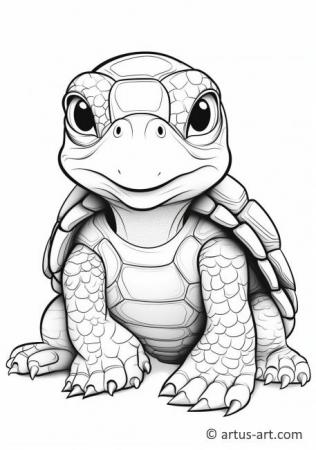 Schöne Wasserschildkröte Malvorlage für Kinder