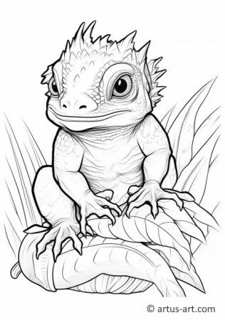 Awesome Tuatara Coloring Page For Kids