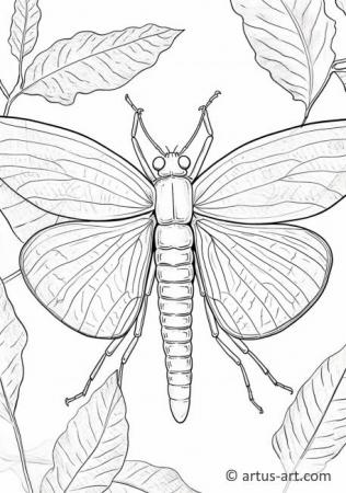 Mayfly Coloring Page