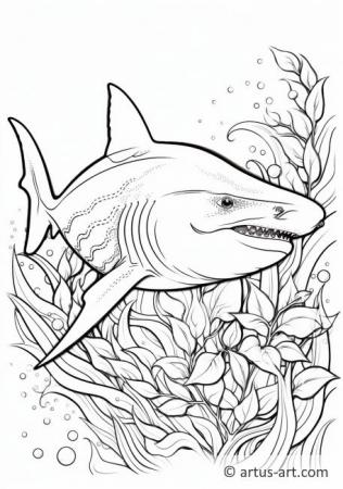 Shark Coloring Page For Kids