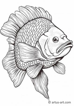 Tilapia Coloring Page