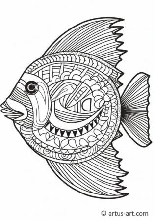 Triggerfish Coloring Page