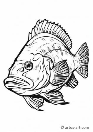 Grouper Coloring Page For Kids