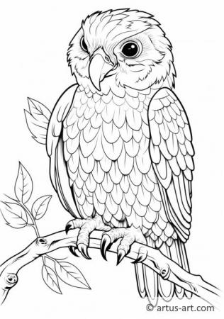 Awesome Birds of North America Coloring Page