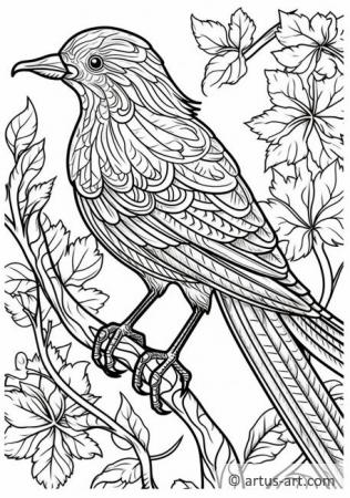 Blackbird Coloring Page