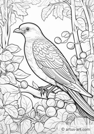 Bowerbird Coloring Page