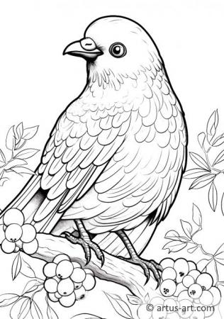 Bowerbird Coloring Page