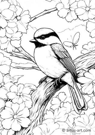 Chickadee Coloring Page For Kids