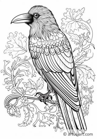 Crow Coloring Page For Kids