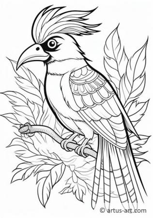 Awesome Bird-of-paradise Coloring Page