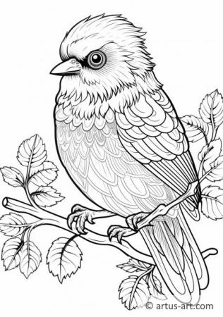Awesome Birds of North America Coloring Page For Kids