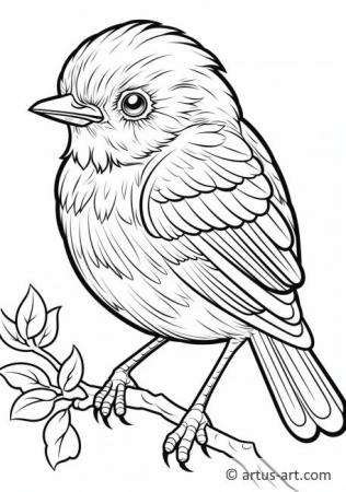 Awesome Bluebird Coloring Page For Kids