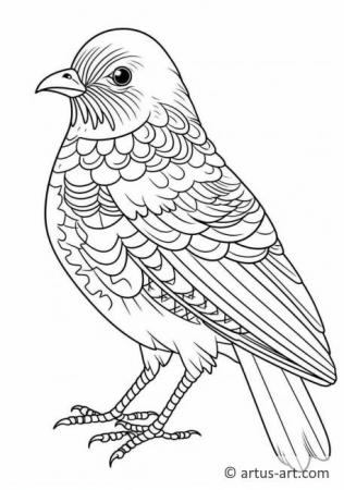 Awesome Bowerbird Coloring Page