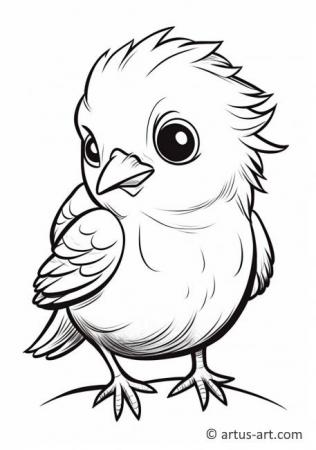 Awesome Cowbird Coloring Page For Kids