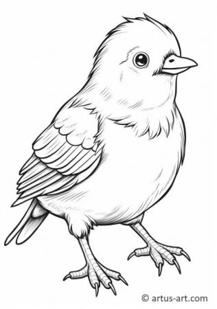 Awesome Cowbird Coloring Page For Kids