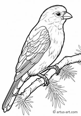 Crossbill Coloring Page For Kids