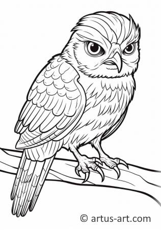 Awesome Cuckoo Coloring Page