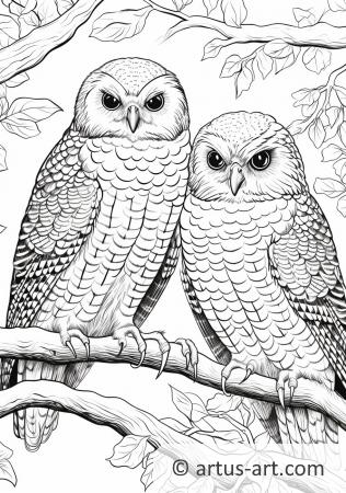 Falcons Coloring Page For Kids