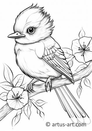 Flycatcher Coloring Page
