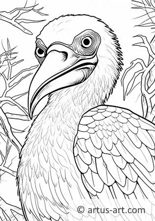 Frigatebird Boyama Sayfası