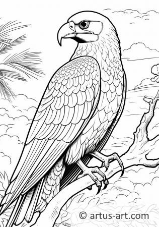 Awesome Frigatebird Coloring Page For Kids