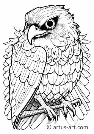 Jay Coloring Page For Kids