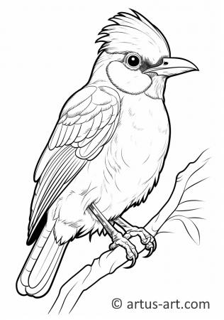 Awesome Jay Coloring Page