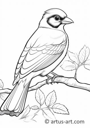 Awesome Jay Coloring Page For Kids