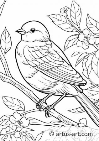 Junco Coloring Page For Kids