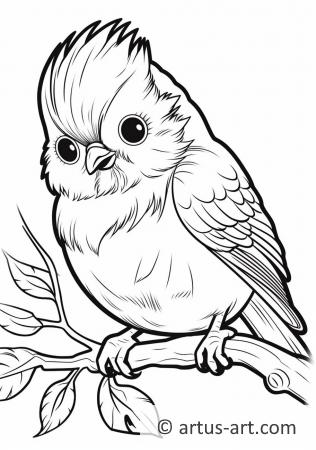 Kinglet Coloring Page