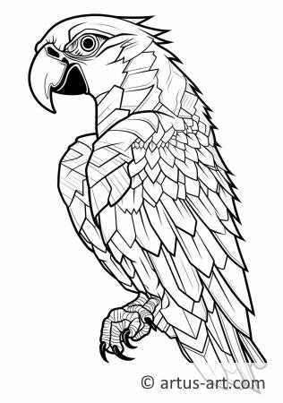 Macaw Coloring Page For Kids