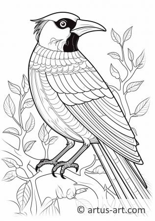 Magpie Coloring Page For Kids