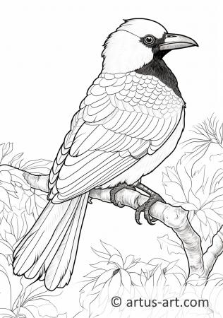 Magpie Coloring Page For Kids