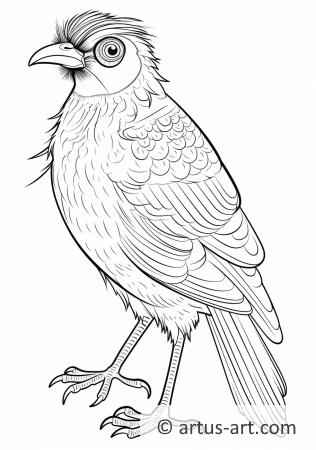 Awesome Mynah Coloring Page For Kids