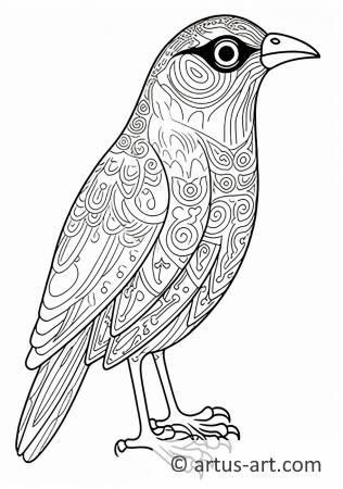Mynah Coloring Page For Kids