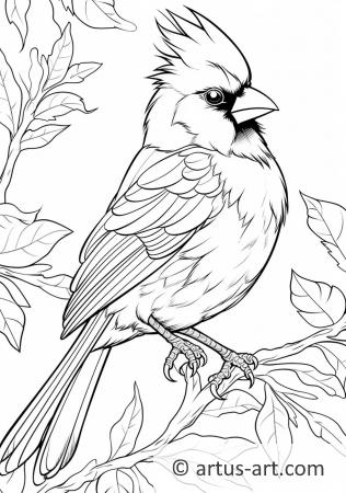 Northern cardinal Coloring Page