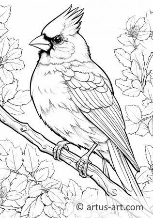 Awesome Northern cardinal Coloring Page For Kids