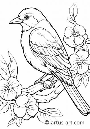 Awesome Oriole Coloring Page For Kids