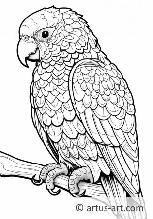 Awesome Parrot Coloring Page For Kids