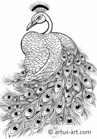 Awesome Peacock Coloring Page
