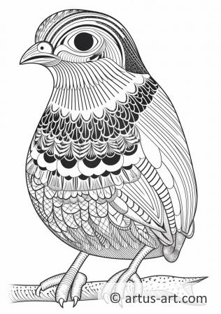 Quail Coloring Page