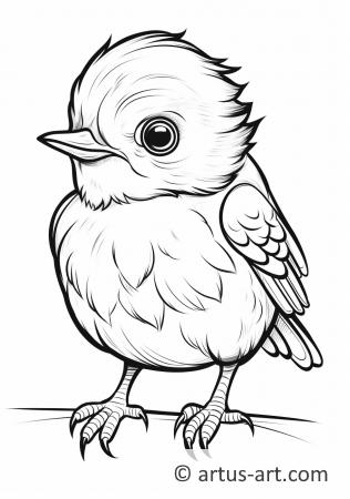 Awesome Robin Coloring Page