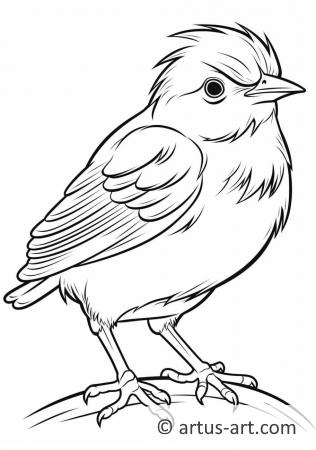 Sparrow Coloring Page For Kids