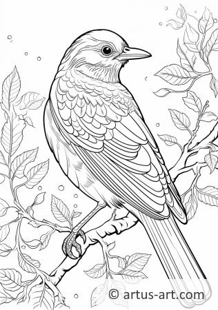 Awesome Thrush Coloring Page