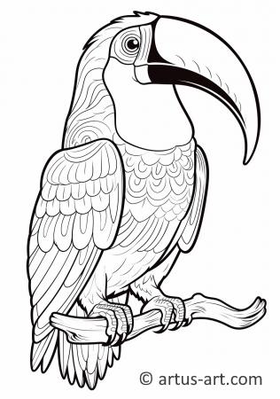 Awesome Toucan Coloring Page